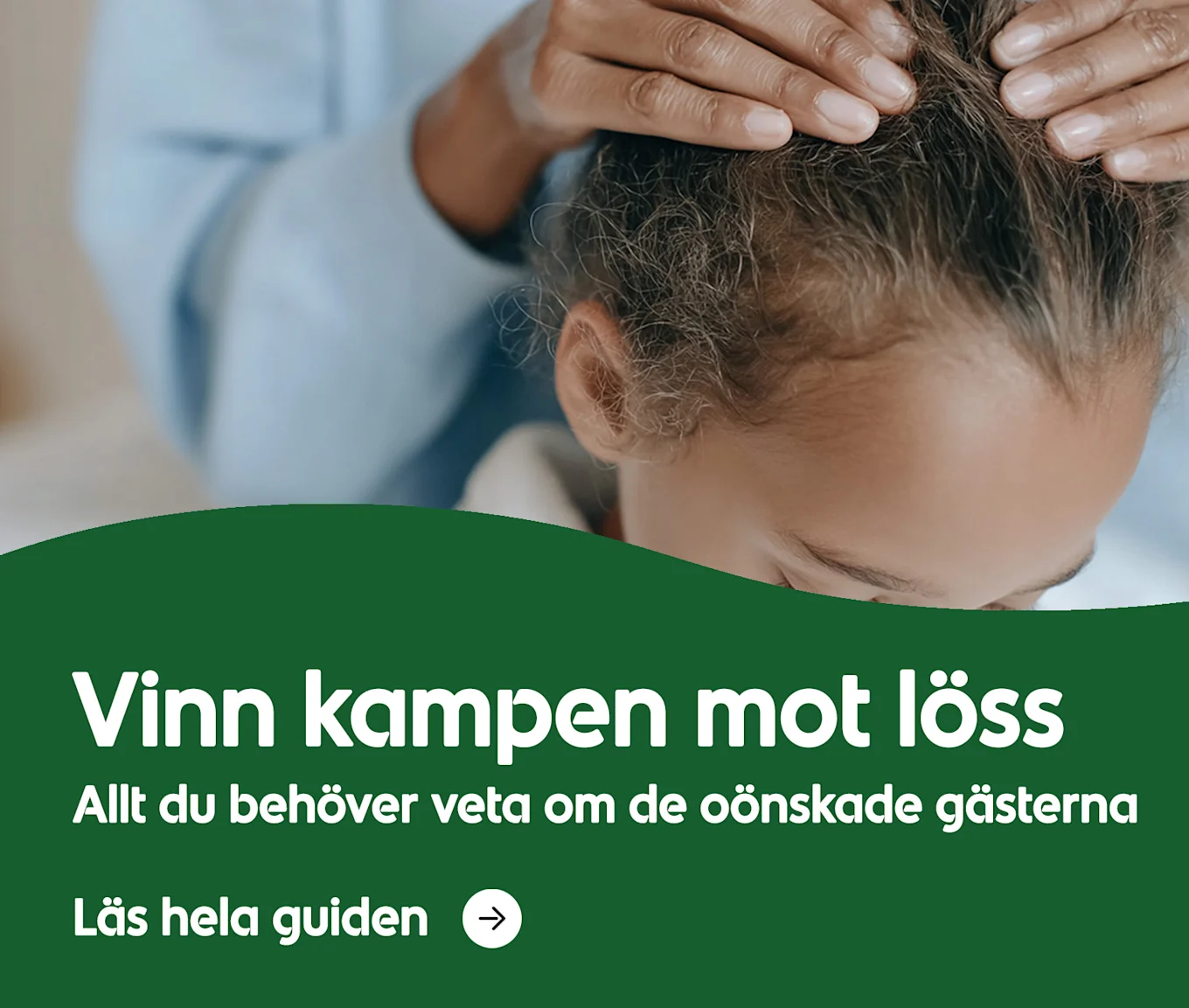 Så vinner du kampen mot löss. Allt du behöver veta om de oönskade gästerna. Läs hela guiden.