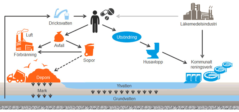 Flödesschema som visar läkemedels väg från industri till människa, utsöndring, avfall, reningsverk, deponi och påverkan på vatten och mark.