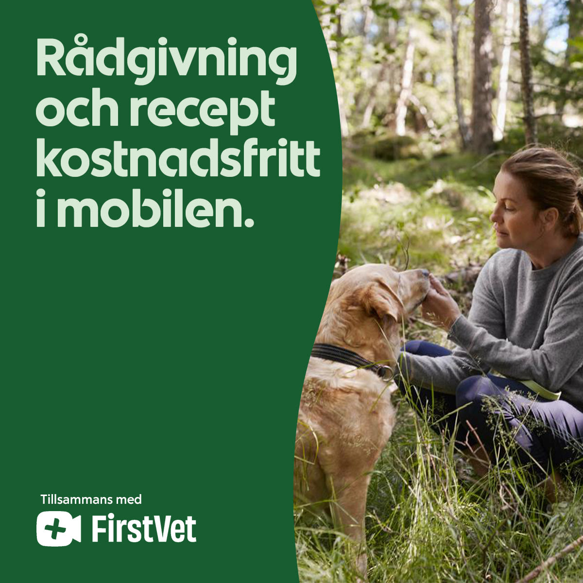 Kvinna klappar en golden retriever i skogsmiljö under en lugn stund tillsammans.